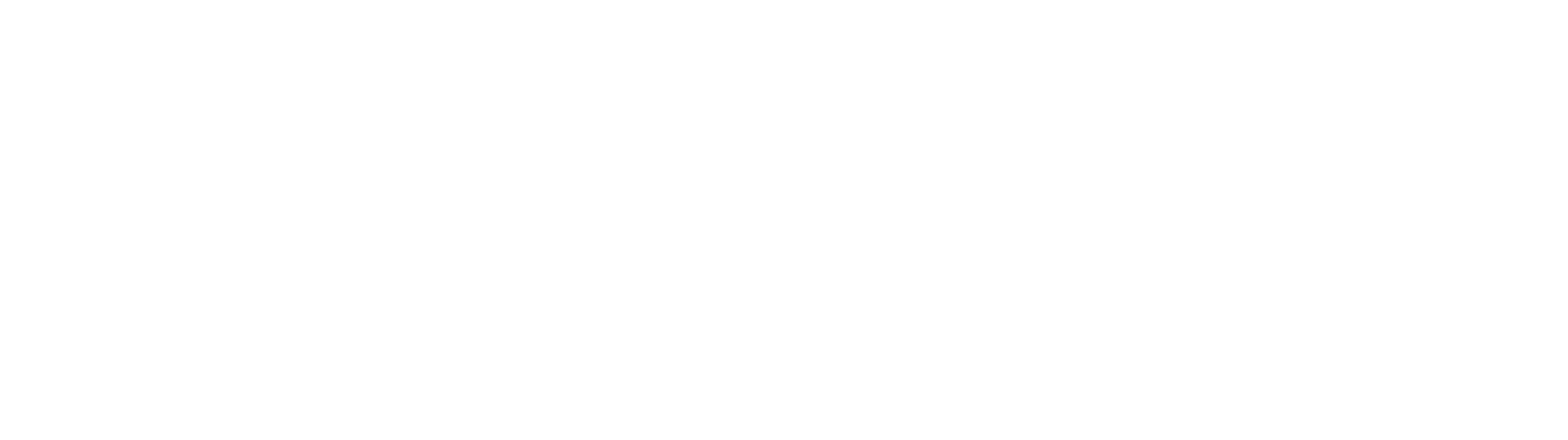 Tienda Nube Partners